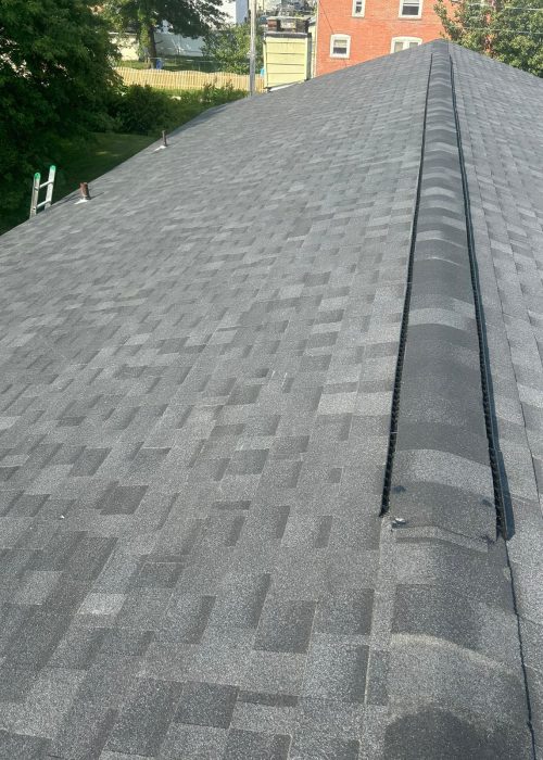 WhatsApp Image 2025-01-28 at 11.34.22 AM