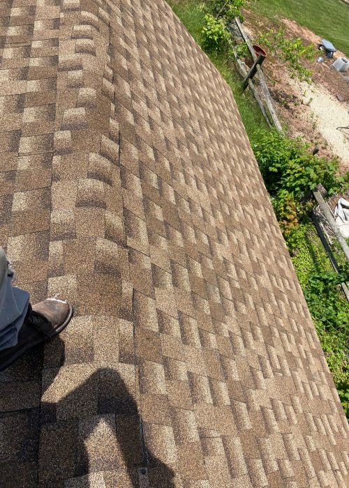 WhatsApp Image 2025-01-28 at 11.38.34 AM (2)